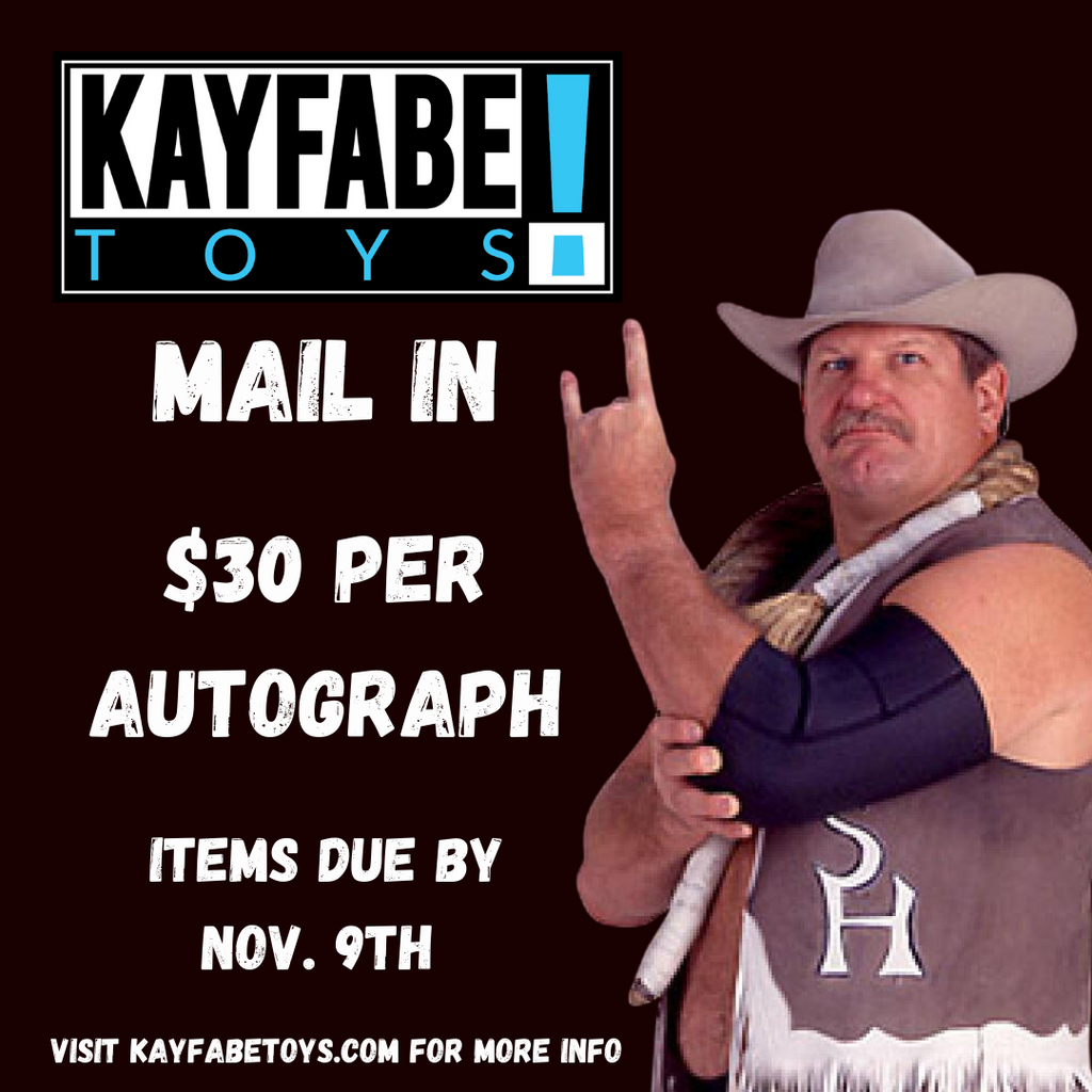 Wrestling Pins The Nasty Boys – Kayfabe Toys